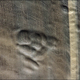 Illustration for article titled New pictures and video show interior detail of the Siberian hole
